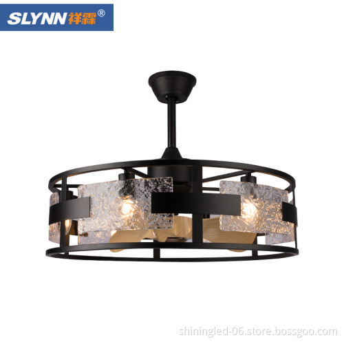 Modern Luxury Dimmable LED Ceiling Fan with Remote Control for Living Room and Bedroom